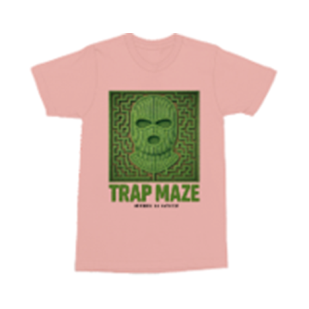 Trap Maze Salmon